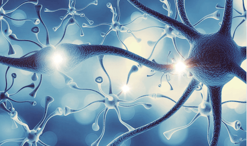 empathy, ADHD, dopamine neurotransmitters